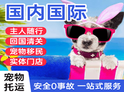 兴凯湖航空运输国际宠物托运 【国